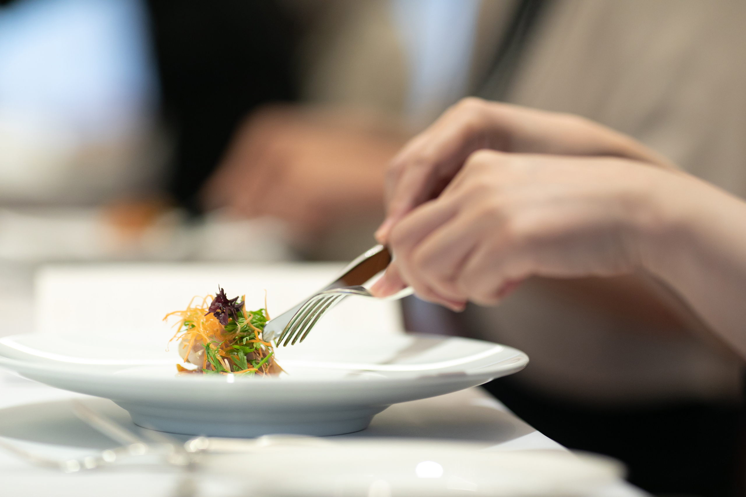 冬から春のパーティープラン